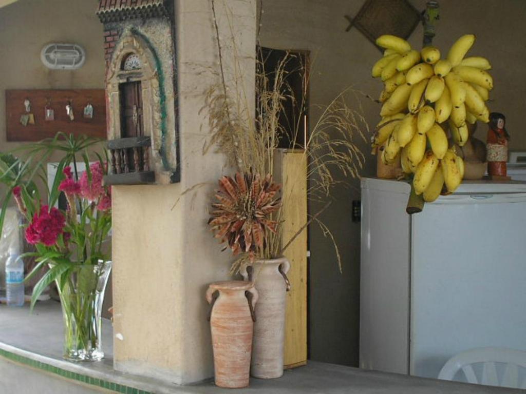 Pousada Dos Cajueiros Paripueira Buitenkant foto
